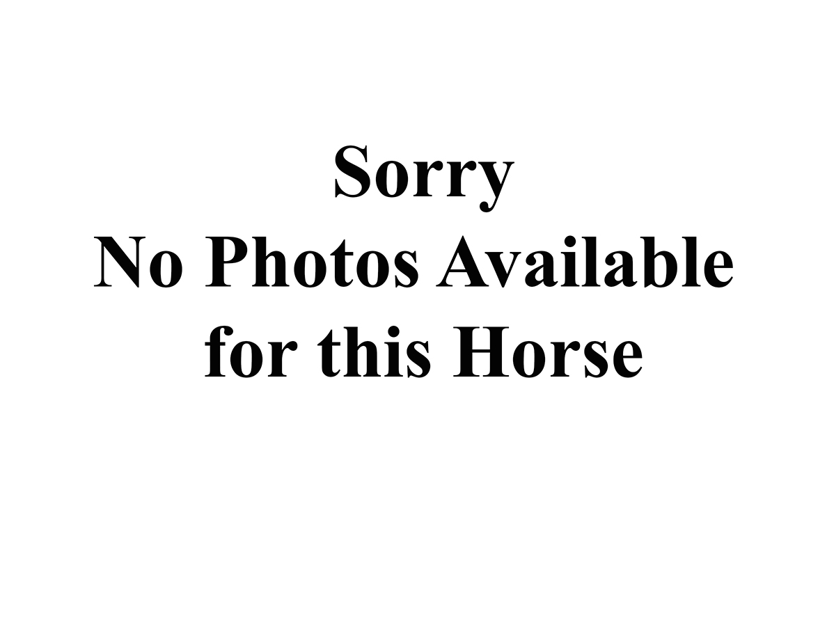 2023 Seymour Draft Sale